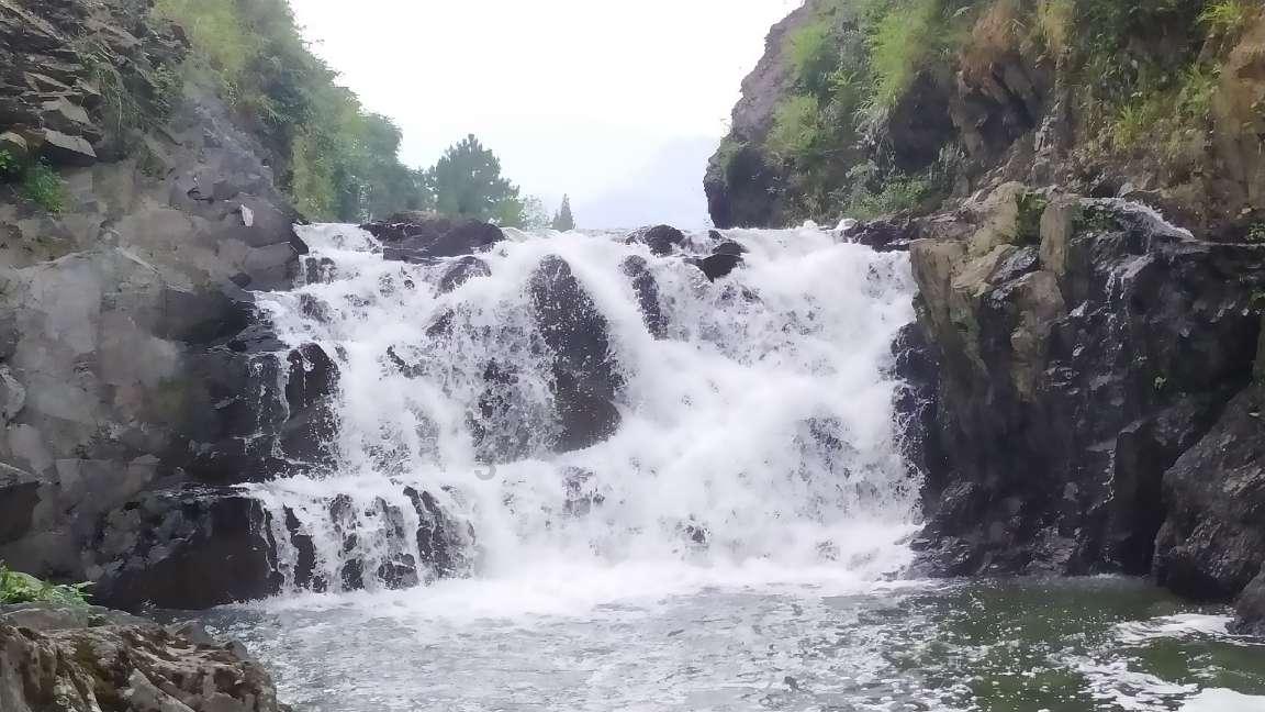 怎么用电压力锅做蛋糕